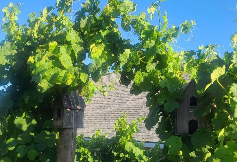 פנסיון Hidden Hacienda