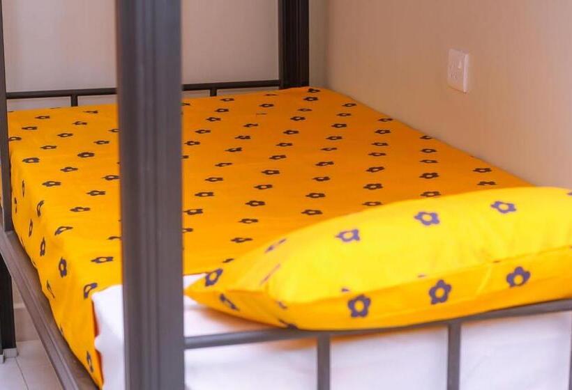 هاستل Boston Apartments Dodoma