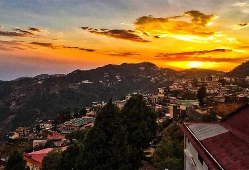 ホテル The Sapling Manor