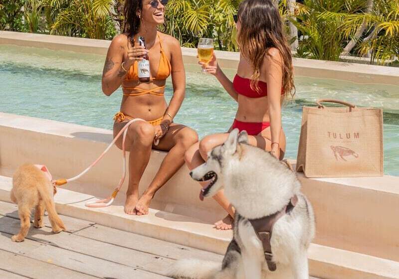 Cervecería Tulum Boutique Hotel & Beer Spa   All Inclusive