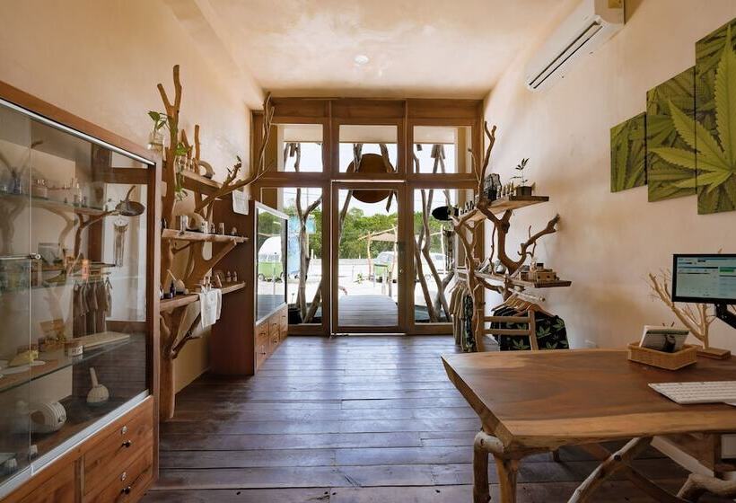 Cervecería Tulum Boutique Hotel & Beer Spa   All Inclusive