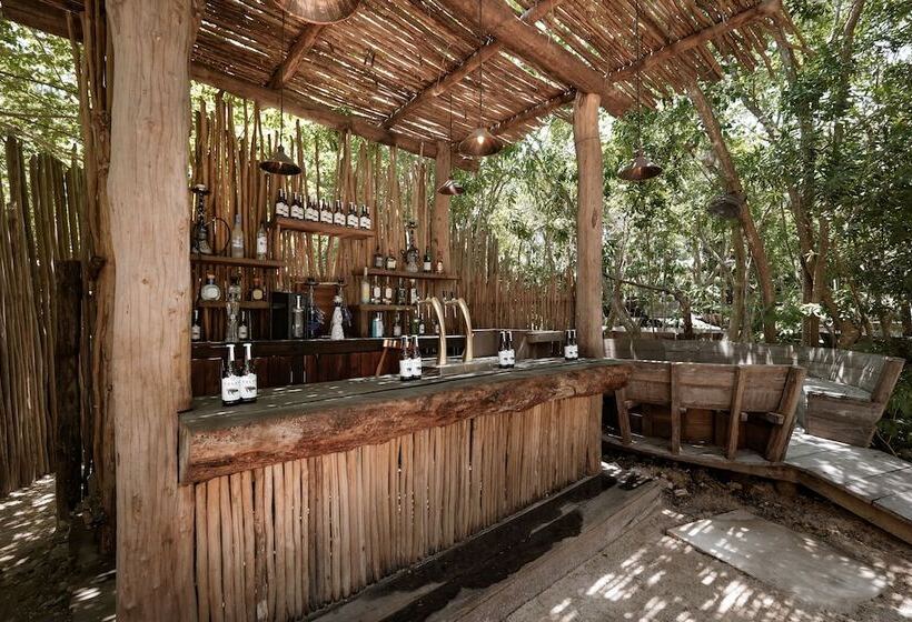 Cervecería Tulum Boutique Hotel & Beer Spa   All Inclusive