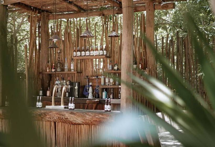 Cervecería Tulum Boutique Hotel & Beer Spa   All Inclusive