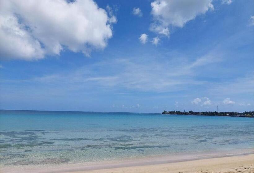 Sunset Bay B&b
