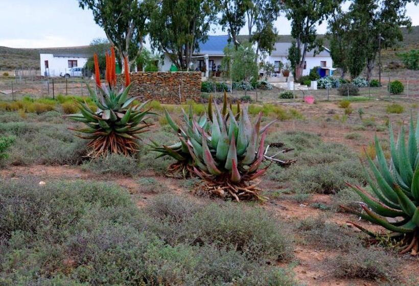 בית מלון כפרי Alchemy Retreat   Entire Karoo Guest Farm   Barrydale