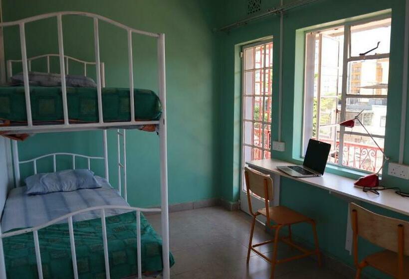 Kiwi Hostels