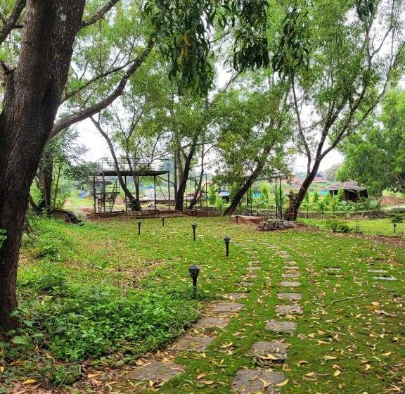 The Dandelion   Colonels Jungle Resort