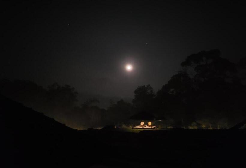 The Dandelion   Colonels Jungle Resort