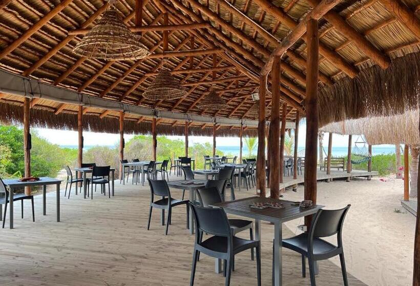 فندق Zenguelemo Lodge