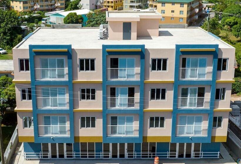 هاستل The New View Inn