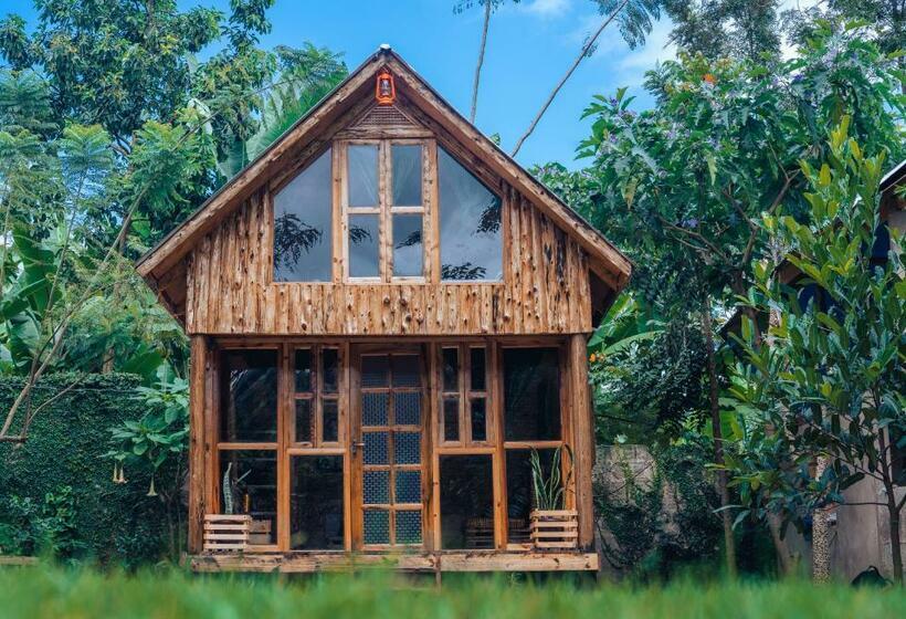 هتل Eco Cabin S Banana Farm