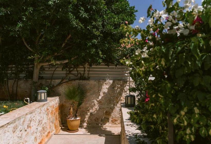 پانسیون Villa Lalaland