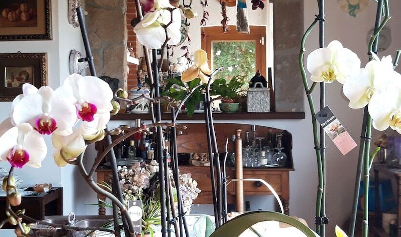 مبيت وإفطار Il Casale Del Sogno