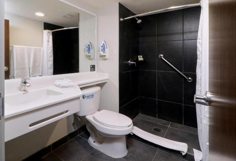 Fotos del hotel City Express Plus Monterrey Galerías:  22