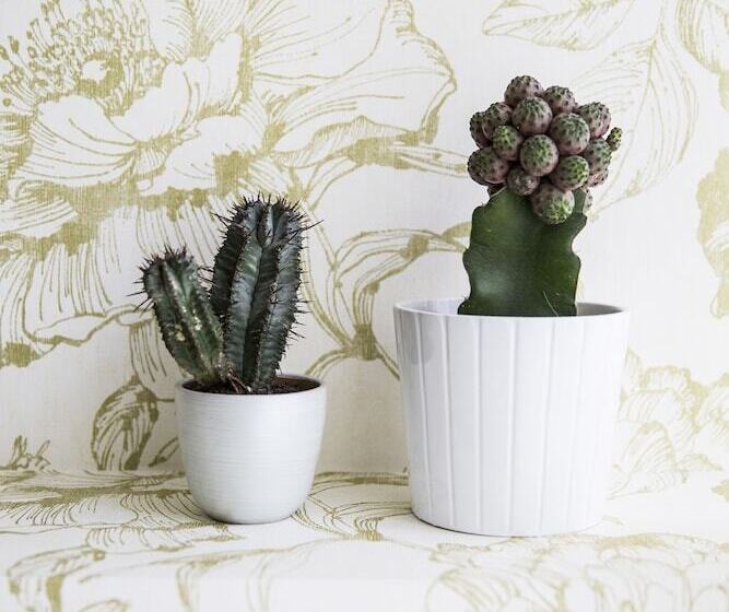 Fotos del hotel Corso Italia Rooms:  5