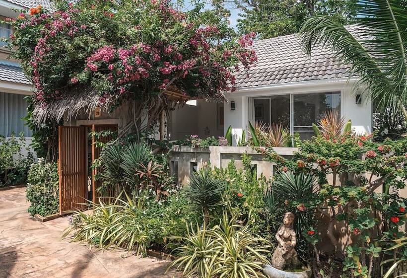 هتل King S Garden Resort   Sha Plus