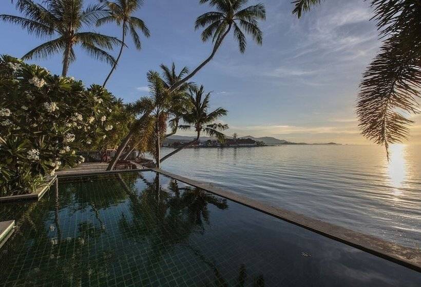 The Beach House