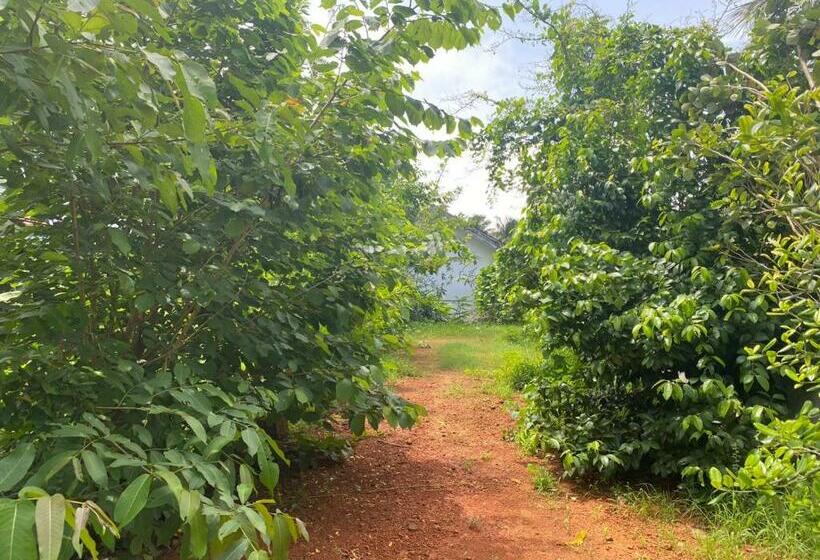 ペンション Santhosh Ayurvidhana Health Resort