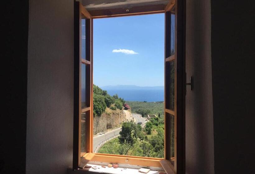 Shotgun Hostel & Guesthouse