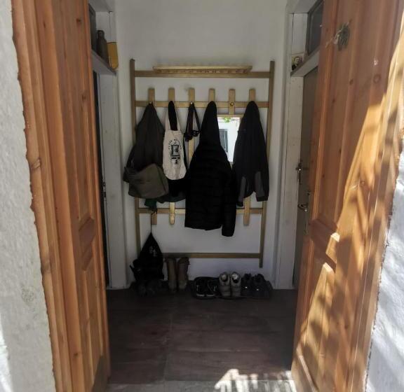 Shotgun Hostel & Guesthouse