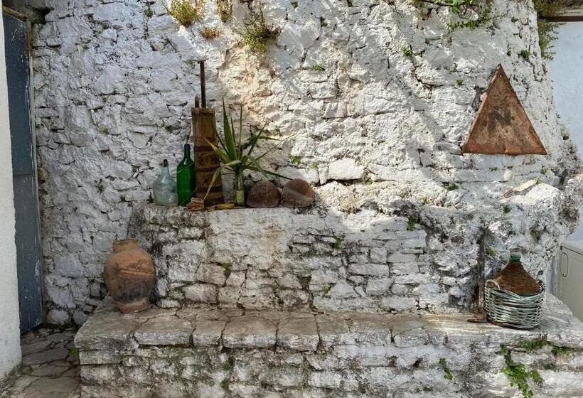 Shotgun Hostel & Guesthouse