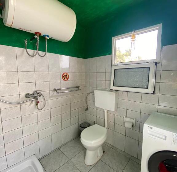 Shotgun Hostel & Guesthouse