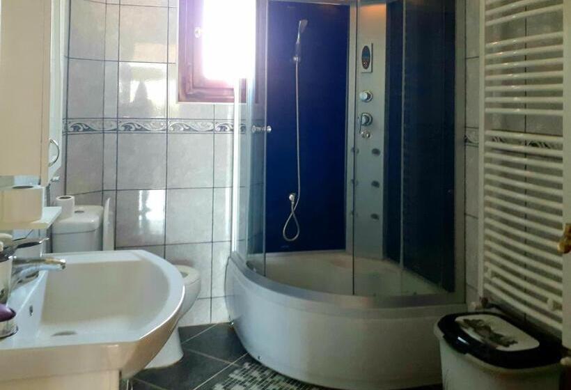 پانسیون Domaćinstvo Sinđelić