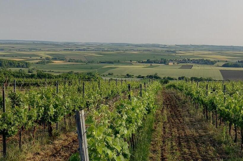 펜션 Winzerhof Fleischmann