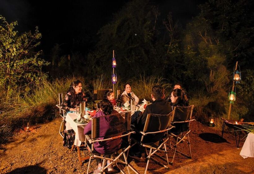渡假胜地  Kanha Jungle Camp