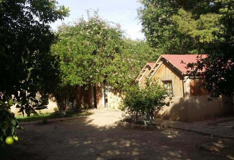 فندق صغير Auberge Souktana