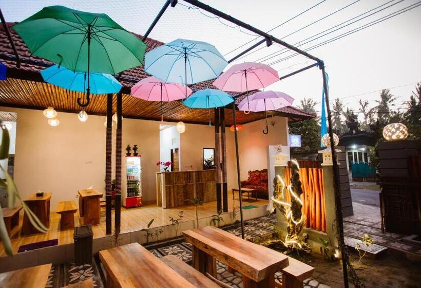Double D Hostel