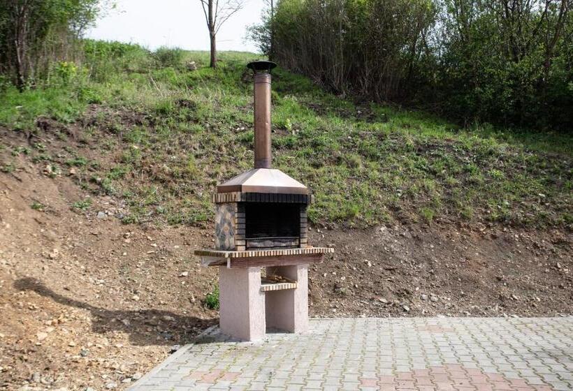 פנסיון Casa Poienita Apusenilor