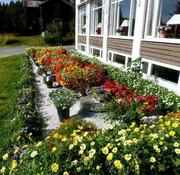 旅馆 Tronsvangen Seter