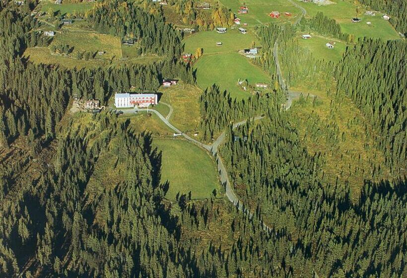 旅馆 Tronsvangen Seter