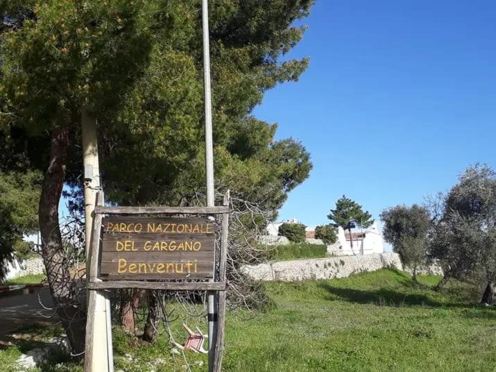 B&b La Torre Antica