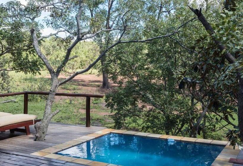هتل Ndlovu Safari Lodge