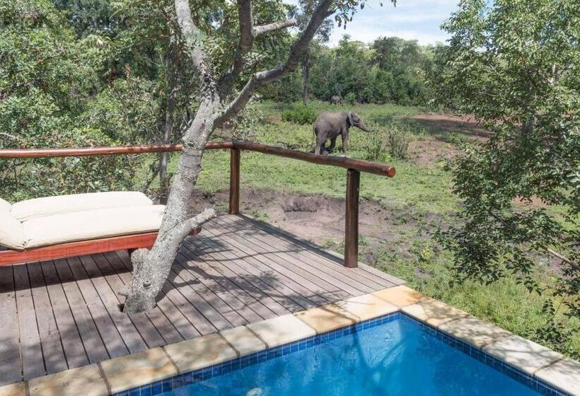 هتل Ndlovu Safari Lodge