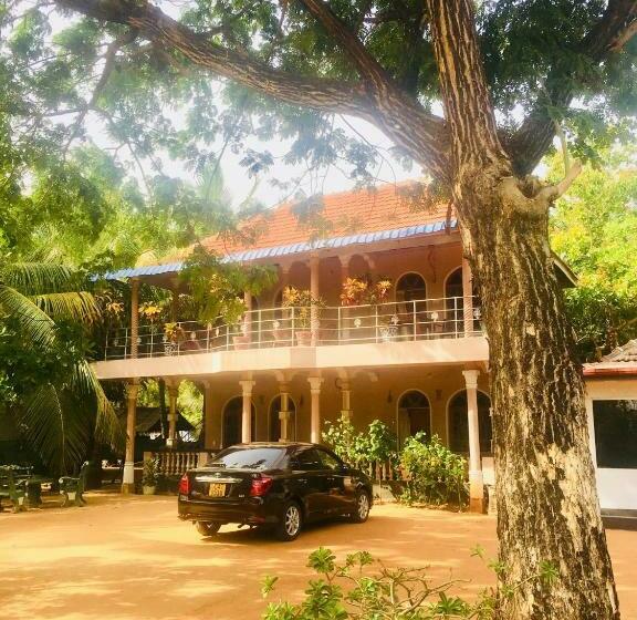 پانسیون New Land Guest House