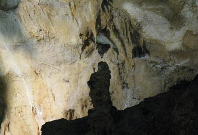 تختخواب و صبحانه Apartments Izvor Lisine