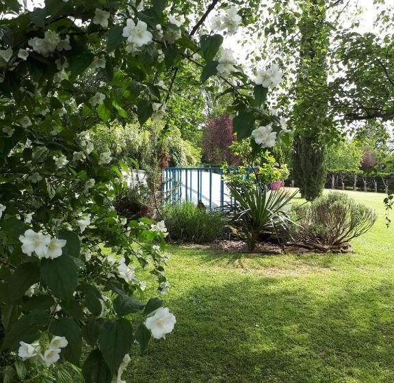 Bed and Breakfast Chambre D Hôte De La Rotterie