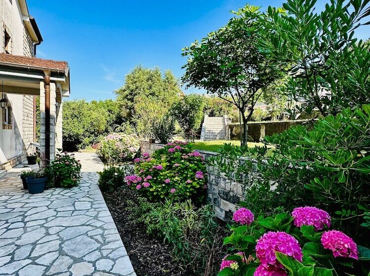 Aparthotel   Villa Jovicic