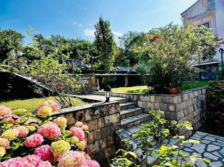 Aparthotel   Villa Jovicic