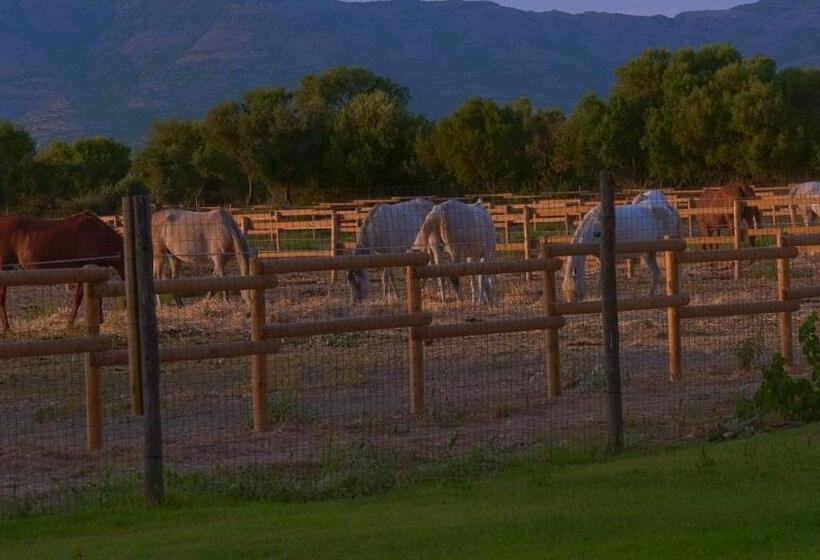 ホテル Agriturismo Santa Lucia