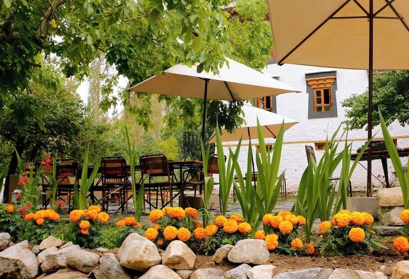 فندق Nimmu House Ladakh