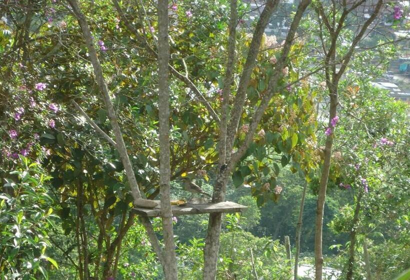 هاستل San Agustín Wayrana