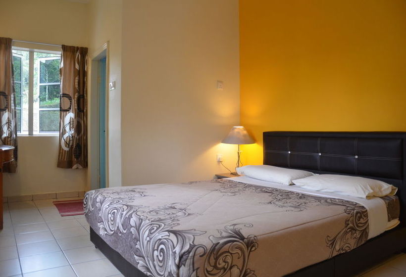 هاستل Father S Guest House