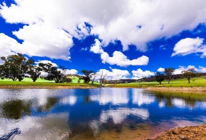 Hillview Farmstay