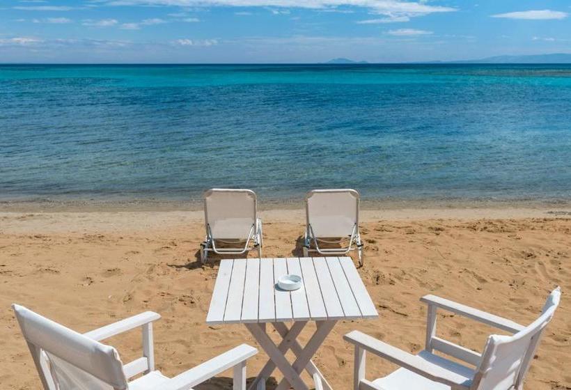 Отель Albouro Seafront Apartments