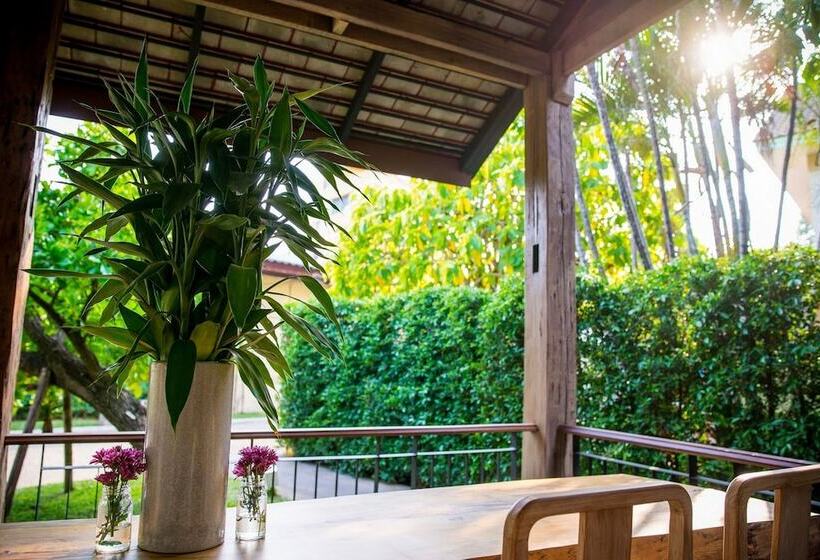 Fotos del hotel Chu:  31