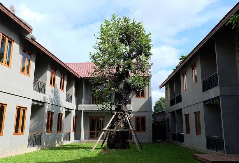 Fotos del hotel Chu:  67